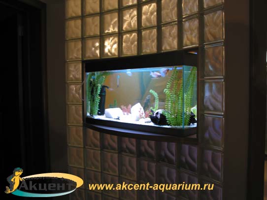 Акцент-Аквариум, аквариум просмотровый с гнутым передним стеклом 140 литров вид со стороны комнаты